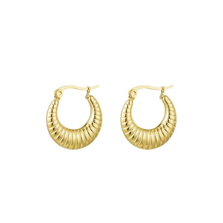 Yehwang - oorbellen - oorringetjes - gestreept - goud - rvs - dames