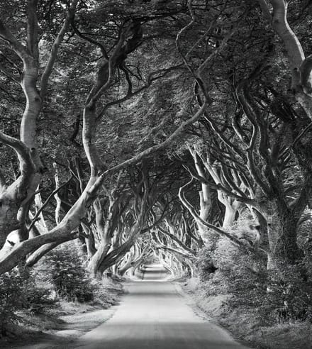 Fotobehang - Forevenue 250x280cm - Vliesbehang