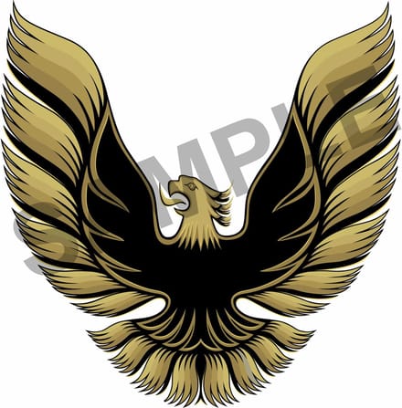 Pontiac Transam 1978-1981 Zijstickers Firebird replika goud look
