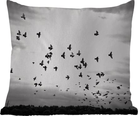 Tuinkussen - Dieren - Vogels - Wolken - Zwart - Wit - 40x40 cm - Weerbestendig