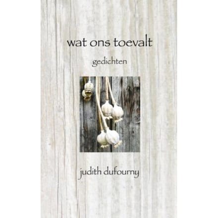 Wat Ons Toevalt - Judith Dufourny
