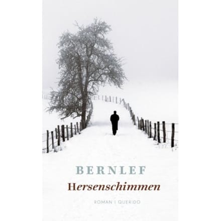 Hersenschimmen - Bernlef