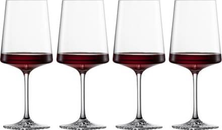 Zwiesel Glas Echo Allround glas 0 - 0.572Ltr - set van 4