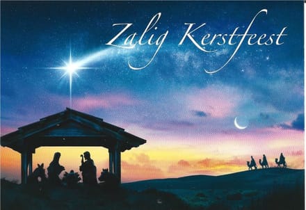 Kerstkaarten Zalig Kerstfeest nr. 78 25 stuks