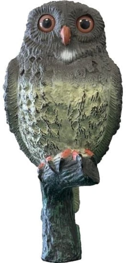 SuperFish Deco Vogel Kleine Uil