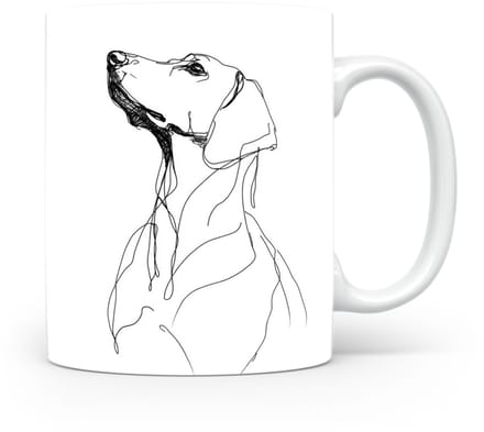 Beker Schillerstövare (Schiller Hound)