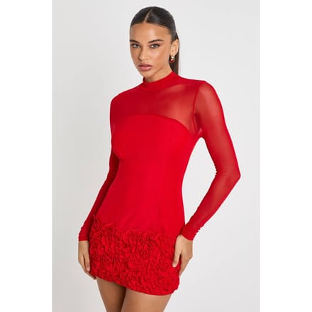 boohoo Dames 3D Bloemen Mesh met panelen Mini Jurk | Red | Maat: 14