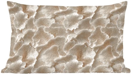 Sierkussens - Kussentjes Woonkamer - 60x40 cm - Waaierstructuren - Beige - Vezeltextuur