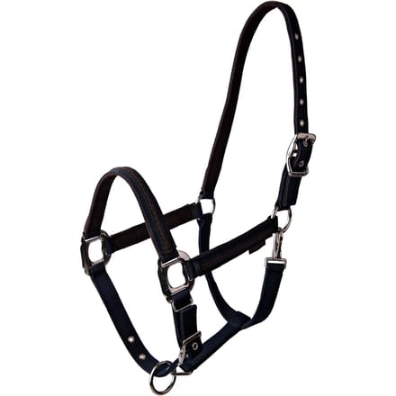Halster voor paarden Lami-Cell Vintage