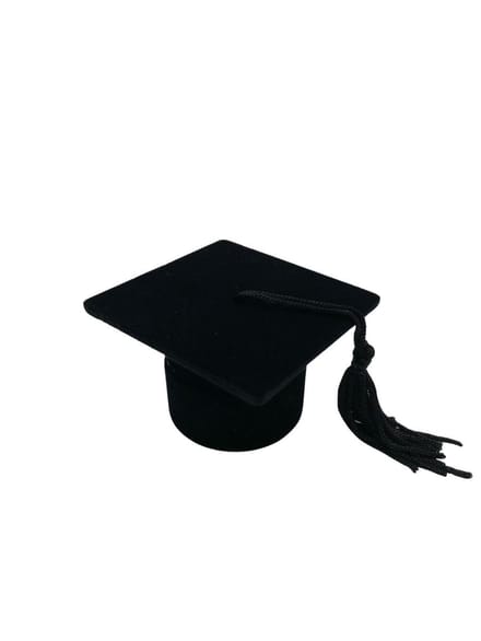 Bruiloft, Huwelijk, Aanzoek, Ringdoosje, Geslaagd, Hoedje, Eindexamen, Rijexamen, Propedeuse, Bachelor, Master, Universiteit, Feest
