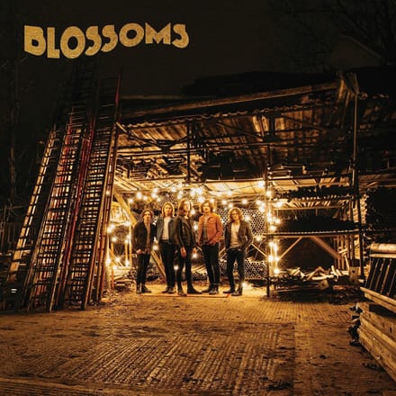 Blossoms - Blossoms (CD)