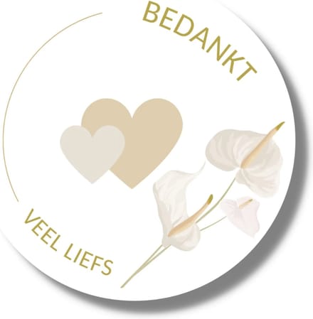 20 x Bedankt Stickers - Veel Liefs - Stickervel - 4 cm