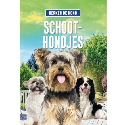 Schoothondjes - Herken De Hond - Elizabeth Noll