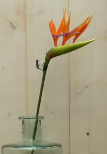 Kunst paradijsvogelbloem strelitzia op steker oranje Warentuin Mix