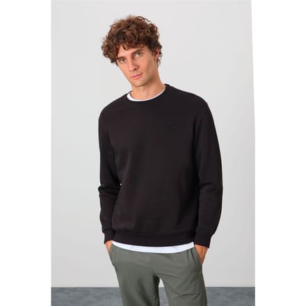Heren Regular Fit Round Neck Sweater