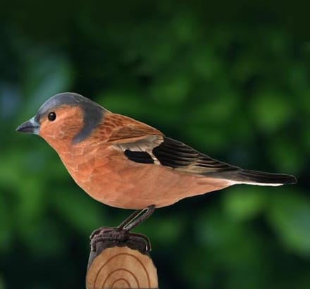 Wildlife Garden Decobird - Vink