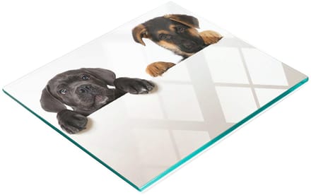 Glazen serveerplank voor in de keuken met afbeelding van drie puppy's, 60x52 cm
