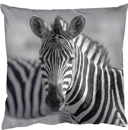 Sierkussens - Kussentjes Woonkamer - 40x40 cm - Zebra's - Zwart - Wit