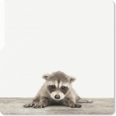 Muismat 20x20 cm - Mousepad Dieren - Wasbeer - Wit - Baby - Muismatten