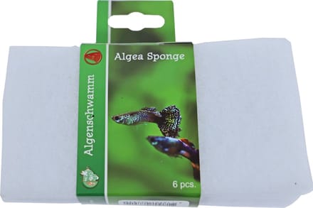 Boon aquarium algenspons 6 stuks 15x8 cm wit wit