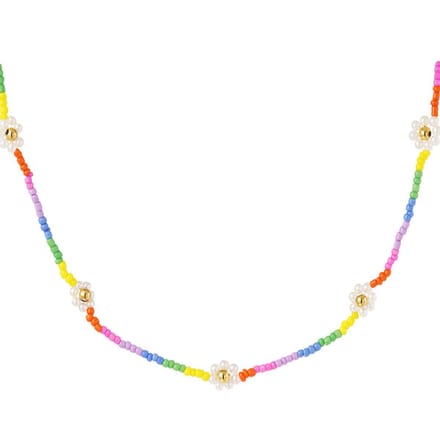 Bijoutheek Collier Rainbow Witte Bloemen
