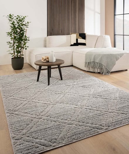 Scandinavisch vloerkleed - Arc Gem lichtgrijs 80x150