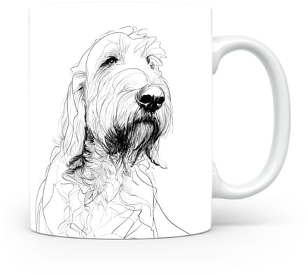 Beker Otterhound