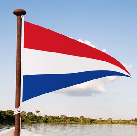Nederlandse puntvlag 50x75cm