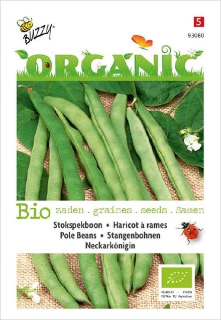 Buzzy Organic Stokspekboon Neckarkönigin (BIO)