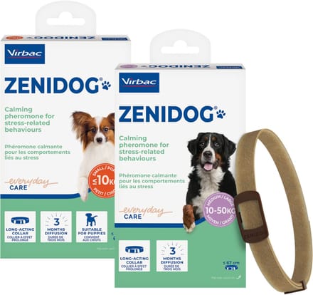Zenidog Halsband - M/L