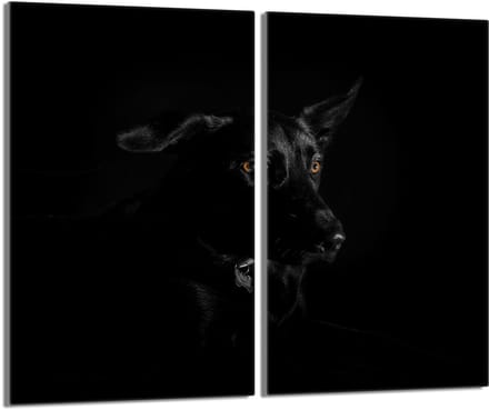 TMK ArtDeko Serie - Glazen beschermplaat - 2x30x52cm - Gehard Glas - Multifunctioneel