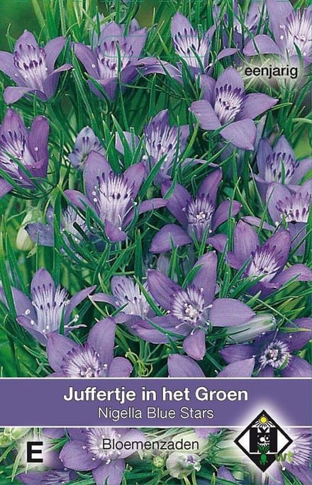 Van Hemert - Juffertje In Het Groen Blue Stars (Nigella)