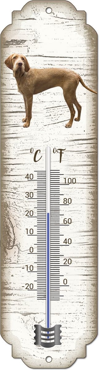 Thermometer: Vizsla Draadhaar | Hondenras | Temperatuur binnen en buiten | -25 tot +45C
