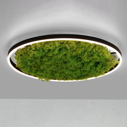 JUST LIGHT. GmbH LED plafondlamp Green Ritus, mos dimbaar Ø58,5cm