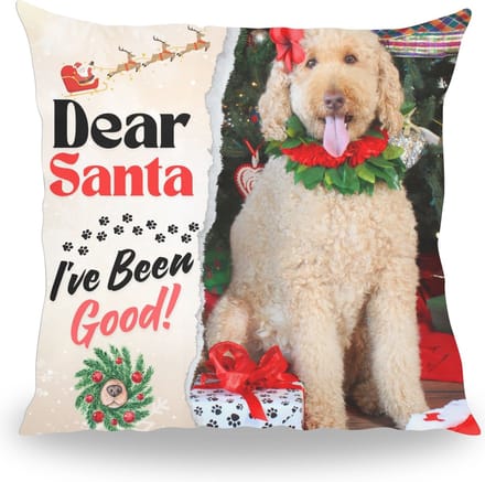 Dear Santa - Kussen - 40 cm