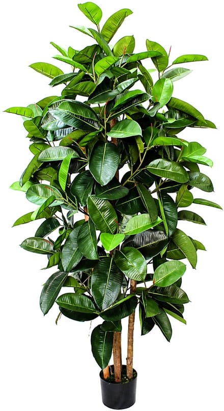 Ficus Kunstplant Elastica 180cm