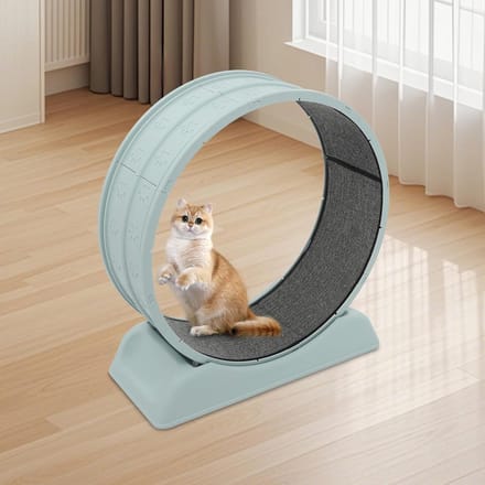 Kattenloopfiets - Dierenwiel - Binnen sporten - Fluisterstille loop - 80 cm diameter - Blauw