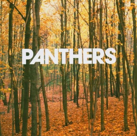 Panthers - Things Are Strange