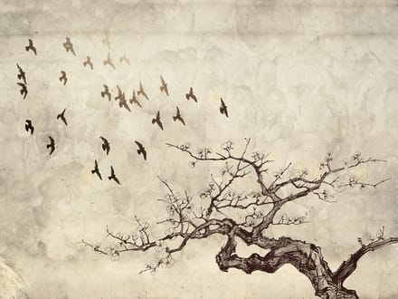 Fotobehang - Flock of birds.