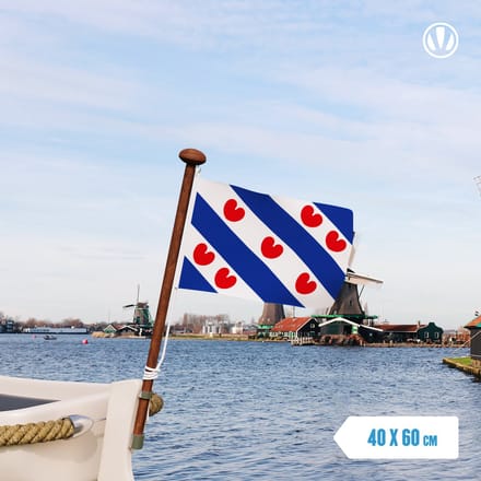 Friese vlag 40x60cm