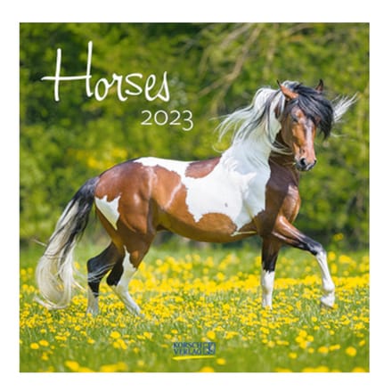 Paarden Kalender 2023 - 30x30cm