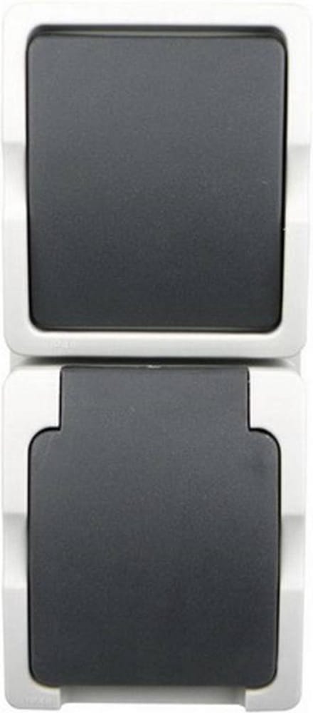 Ratio Schakelaar en stopcontact - spatwaterdicht - verticaal - IP54 - 250V - 16A - plastic