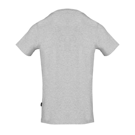 Aquascutum Heren Reflecterend Logo T-Shirt (Grijs)