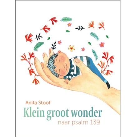 Klein Groot Wonder - Anita Stoof