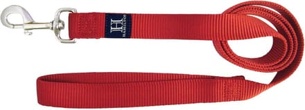 Dikke Nylon Hondenriem 1 Inch - Rood