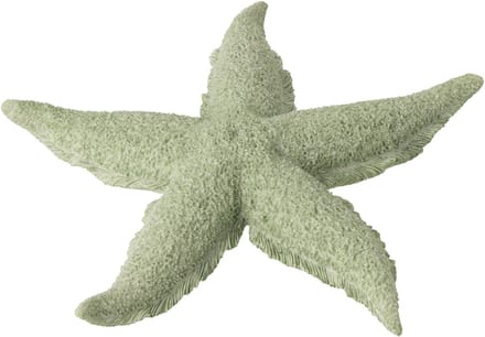 J-Line decoratie Zeester - polyresin - muntgroen - large