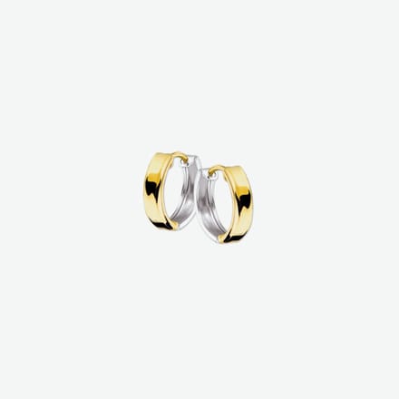 Huiscollectie 4206382 Bicolor gouden Oorring licht