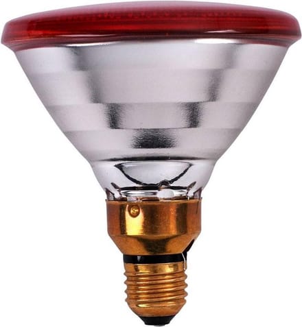 Interheat 2x Infrarood PAR warmtelampen 100 Watt
