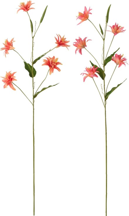 J-Line bloem Lily - textiel - donkeroranje - set van 2