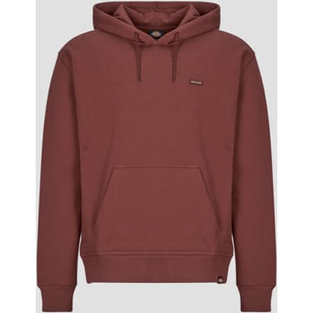 Dickies  Capuchon sweaters CLANCY BB HOODIE ANDORRA